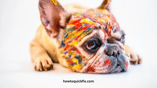 How To Paint Dog Eyes (2) How To Paint Dog Eyes