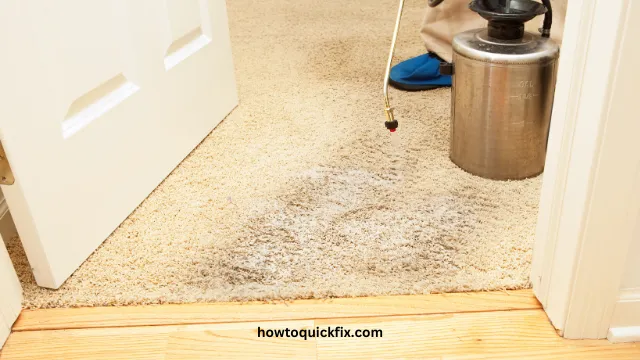 How To Remove Odor From Wet Carpet (2) How To Remove Odor From Wet Carpet