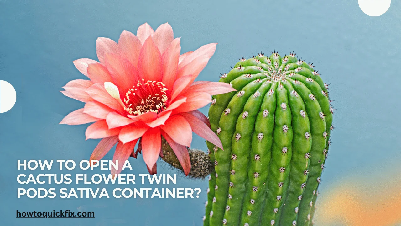 How to Open a Cactus Flower Twin Pods Sativa Container