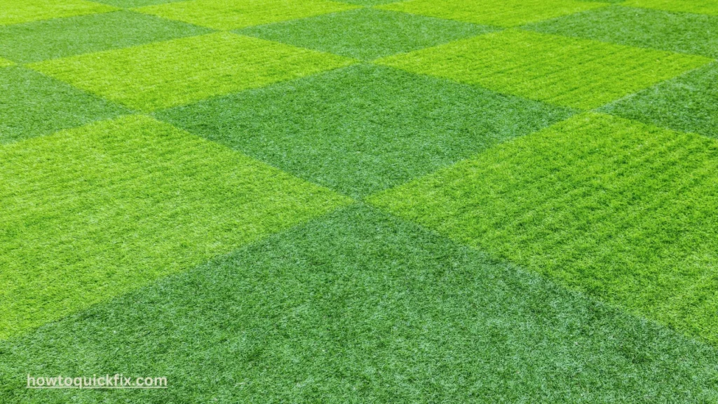 How to See How Artificial Grass Will Look Using AI? (A Complete Guide) 2 How to See How Artificial Grass Will Look Using AI